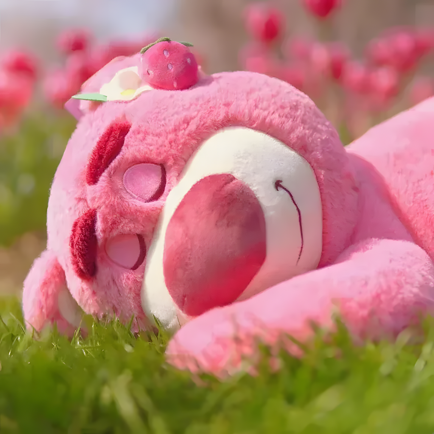 Pelúcia Lotso Abraçável - Amori.